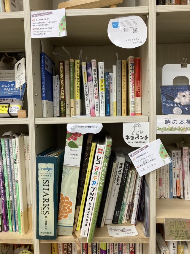 ぼっとう&よはく